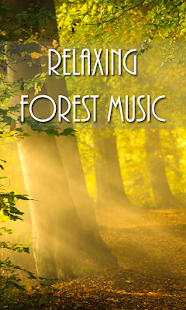 免費下載音樂APP|Relaxing Forest Music app開箱文|APP開箱王