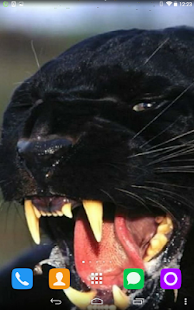 How to install Black Panther Live Wallpaper lastet apk for bluestacks