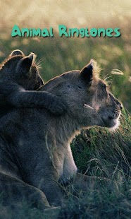 Download Animal Ringtones APK for Android