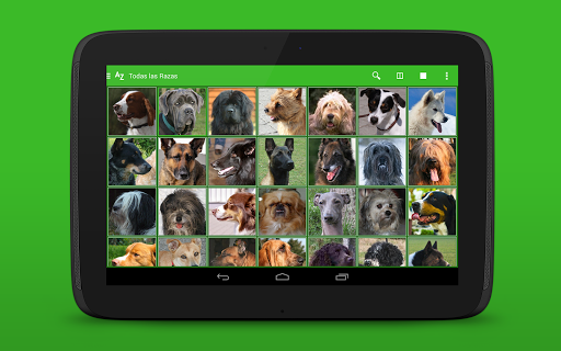 HUtJl_rGBA-lNnmqsUvbA7cRlkXCNFM8KdVxIKS5