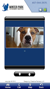 Download Winter Park Veterinary APK for PC