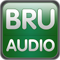 Brussels Audio guide (English) logo