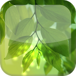 Natural Leaf S5 Live Wallpaper Apk