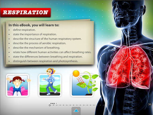 Respiration