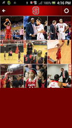 ncsu ​​Wbb kricket official app poster 3