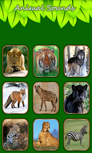 How to get Animal Sounds lastet apk for android