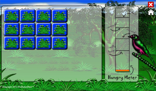 How to download Birds Matching Game 1.0.1 apk for pc