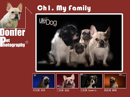 How to install Donfer Pet Photography 1.0.0 mod apk for pc