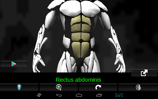 【免費醫療App】Muscular System 3D (anatomy)-APP點子