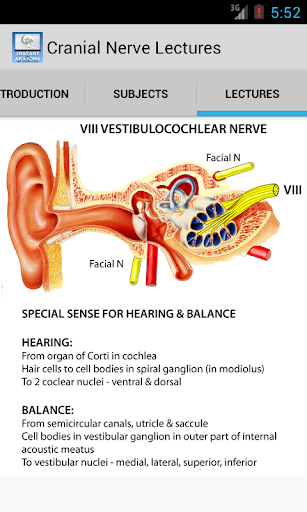 【免費醫療App】Anatomy Cranial Nerve Lectures-APP點子