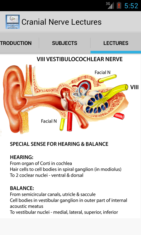 Anatomy Cranial Nerve Lectures Screen 2