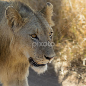 by Kris Kessinger - Uncategorized All Uncategorized