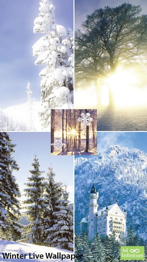 Winter Live Wallpaper Screen 2