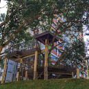 Treehouse at TW
