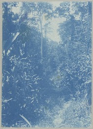 Weg van "de Jong" naar "Gros"