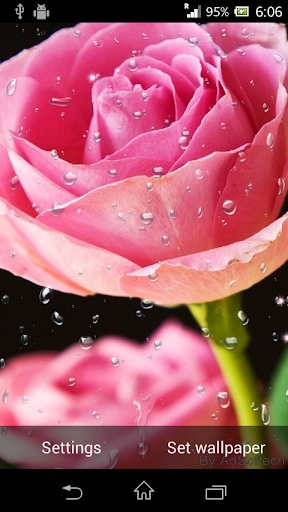 Beautiful Roses Live Wallpaper