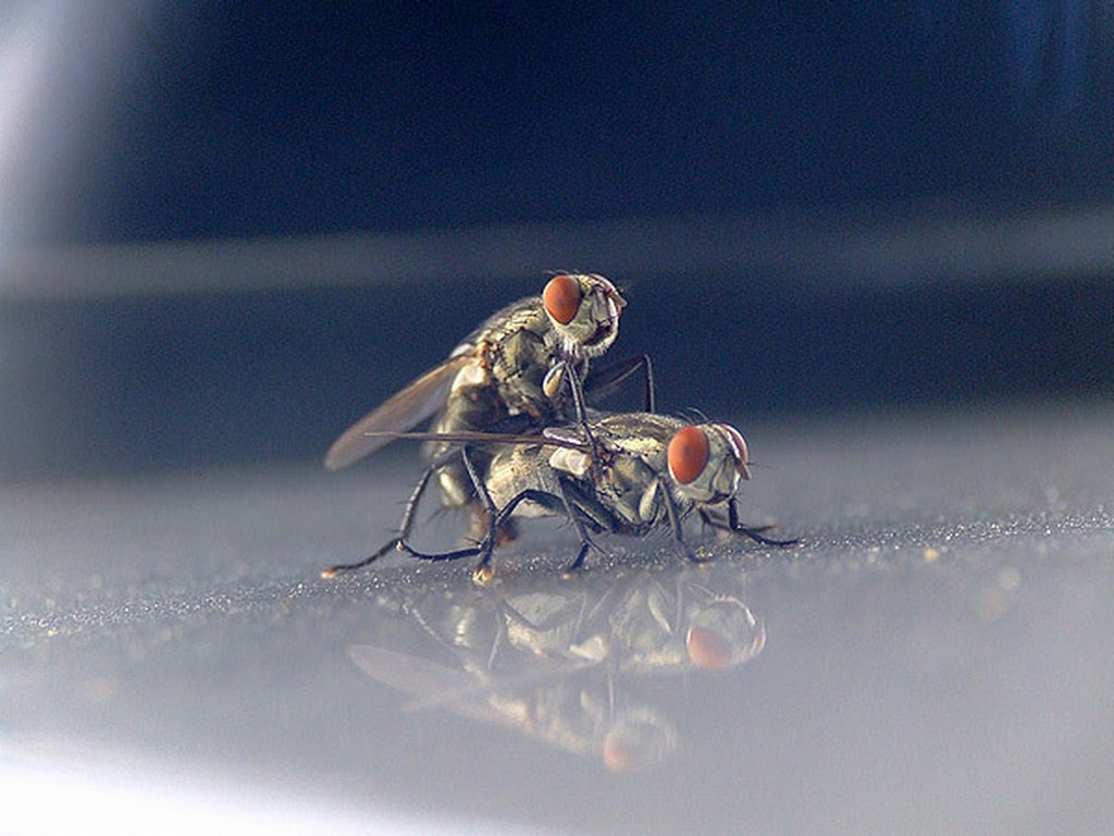 [Ê Ï i"-05[2].jpg]