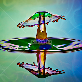 Liquid Mushroom by Chandra Irahadi - Abstract Water Drops & Splashes