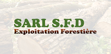 sfd firewood APK