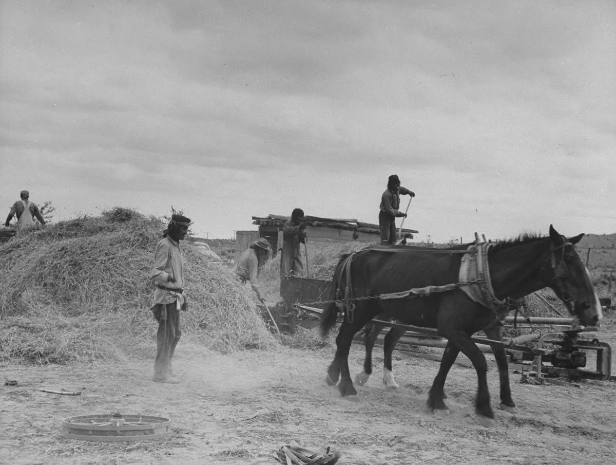 Indians, San Domingo Pueblo, New Mexico Peter Stackpole — Google Arts