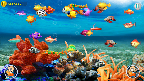 How to mod Fish Master lastet apk for pc