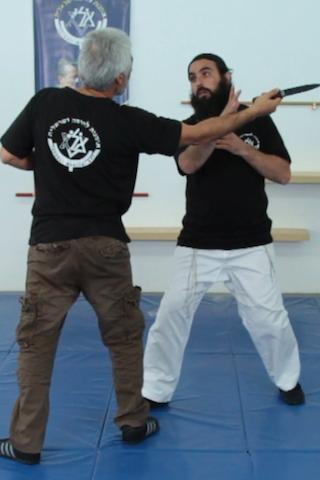 Krav Maga- Strikes Screen 3