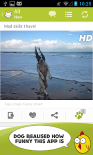 Cute Animals Photos Wallpapers Screenshots 10