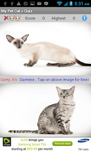 My Pet Cat - My World Screenshots 4