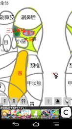 Sum acupuncture-type soles reflection District (provisional) poster 6