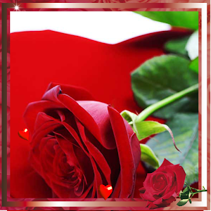 App Love Hearts HD live wallpaper APK for Windows Phone Android games and apps