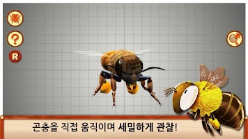 하늘의 곤충친구들(FREE) APK Ekran Görüntüsü Küçük Resim #2