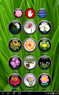 Best Classical Ringtones Screenshots 1