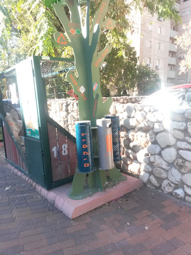Recycling Cacti