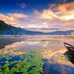 Morning Fog by Eris Suhendra - Landscapes Sunsets & Sunrises