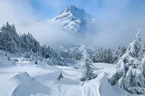 Free Best Winter Wallpapers APK for Android