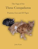 The Saga of the Three Compañeros  Pantera, Leo and El Tigre cover