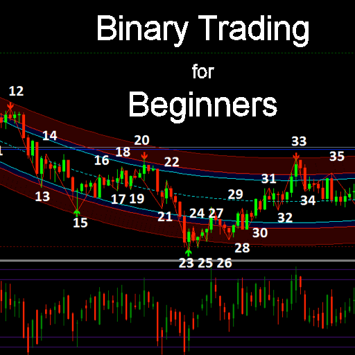 binary options for beginners literature