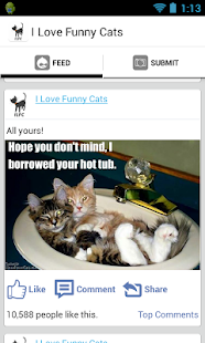 I love funny cats Screenshots 6