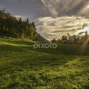 by Alberto Molinari - Landscapes Prairies, Meadows & Fields