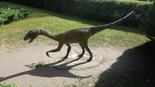 Dinozałr W Zoo
