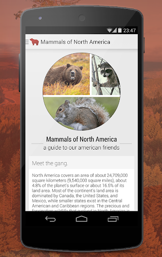 Mammals of North America Free