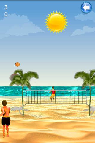 Volleyball 3D Game