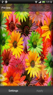 How to get Daisies Live Wallpaper lastet apk for pc