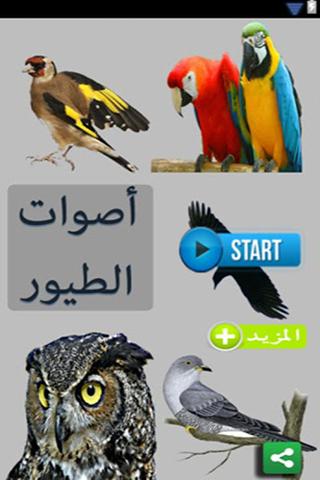 اصوات الطيور