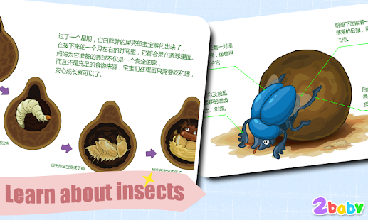 Dung Beetle - Insect World Screenshots 13