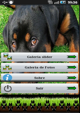 Cachorros Rottweiler