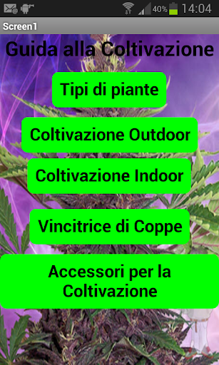 免費下載娛樂APP|Marijuana 2014 guida app開箱文|APP開箱王