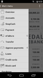 Etnedal Sparebank Screenshots 2