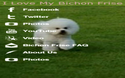 【免費娛樂App】*I Love My Bichon Frise APP!-APP點子