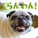 シニア犬・老犬と楽しく暮らすペットマガジン「ぐらんわん！」